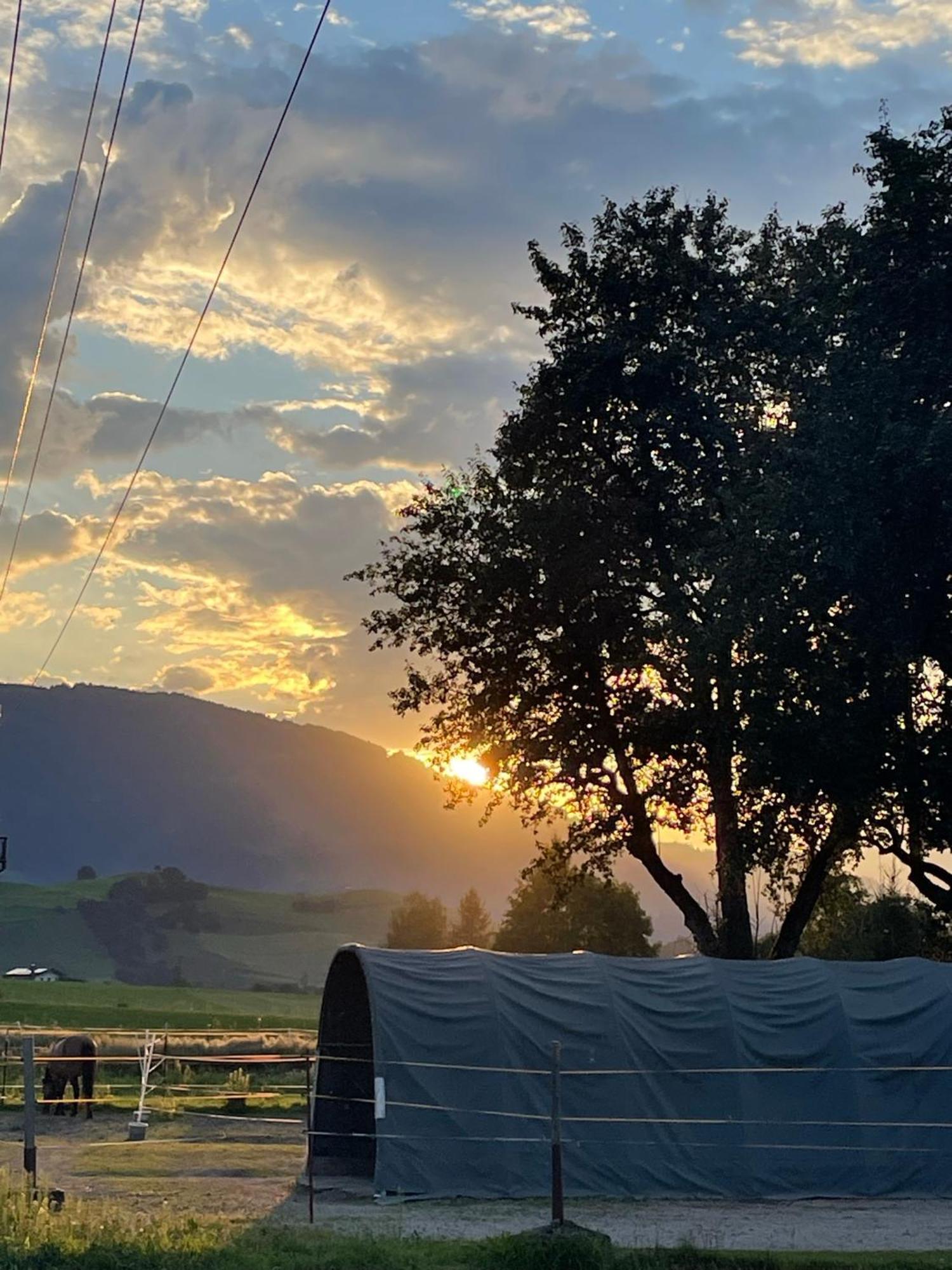 Obermuehlhof Daire Saalfelden Dış mekan fotoğraf